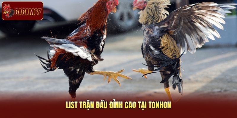 List trận đấu đỉnh cao tại Tonhon