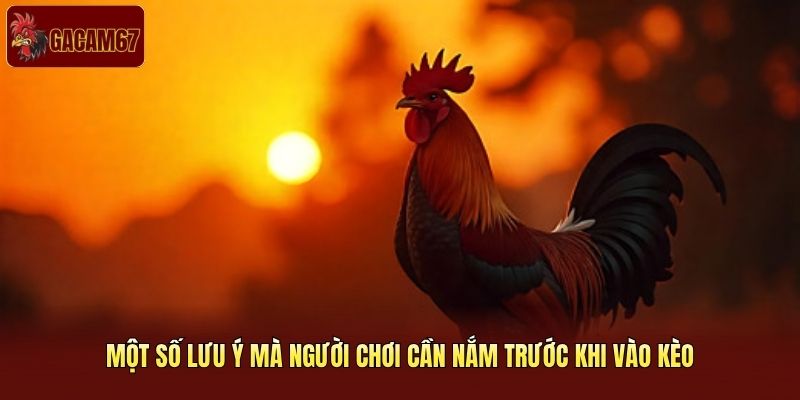 Một số lưu ý mà người chơi cần nắm trước khi vào kèo Một số lưu ý mà người chơi cần nắm trước khi vào kèo